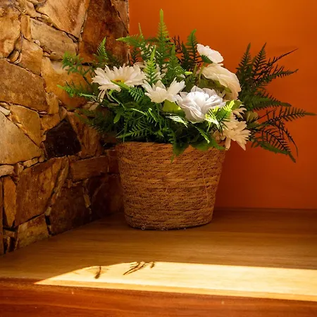 Casa Dos Alloques Σπίτι διακοπών