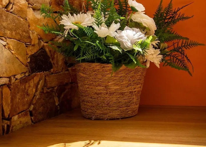 Casa Dos Alloques Ferienhaus